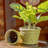 Harrami Handmade Ceramic Pot Planter-1495226626