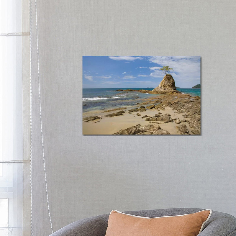 Point With Tree On Penca Beach, Costa Rica 1 Piece Wall Art on Canvas, 45.72cm H x 66.04cm W