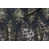 Noir / or