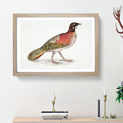 Pennant's Horned Pheasant by John Edward Gray - Picture Frame Painting Print