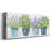 " Fresh Herb Collection "-1218966658