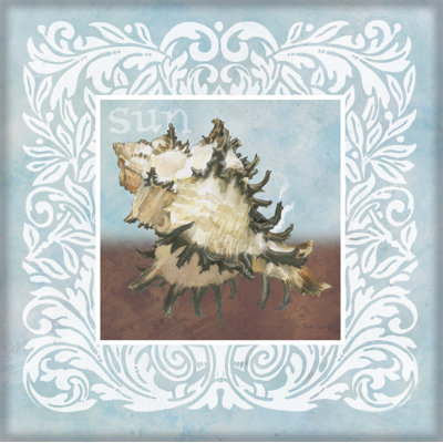 «Sandy Shells Blue Spikey» par Beth Grove - impression d'un seul cadre