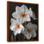 Monochromes blancs jaunes botaniques jonquilles I - jonquilles murales-1638424058-1638424003