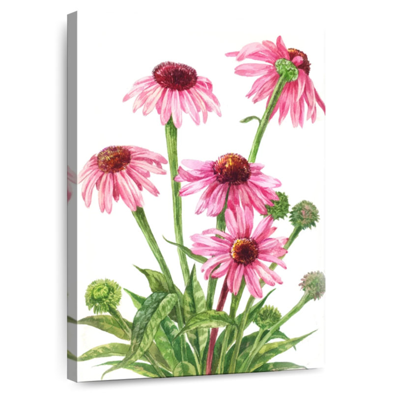 Harnek Echinacea Flower Cluster, 36" H x 24" W