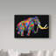 « lainey mammoth », reproduction d’impression sur toile tendue-31881409