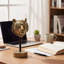 Statue tigrée en résine, décor animal de table moderne pour salon, bureau, bibliothèque et bureau