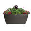 40" Rectangle Plastic Patio Planter Box-540380198
