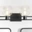 Eveline 4 Light Transparent Dimmable Vanity Light-1618508668