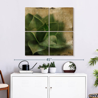 Harnek Succulent II