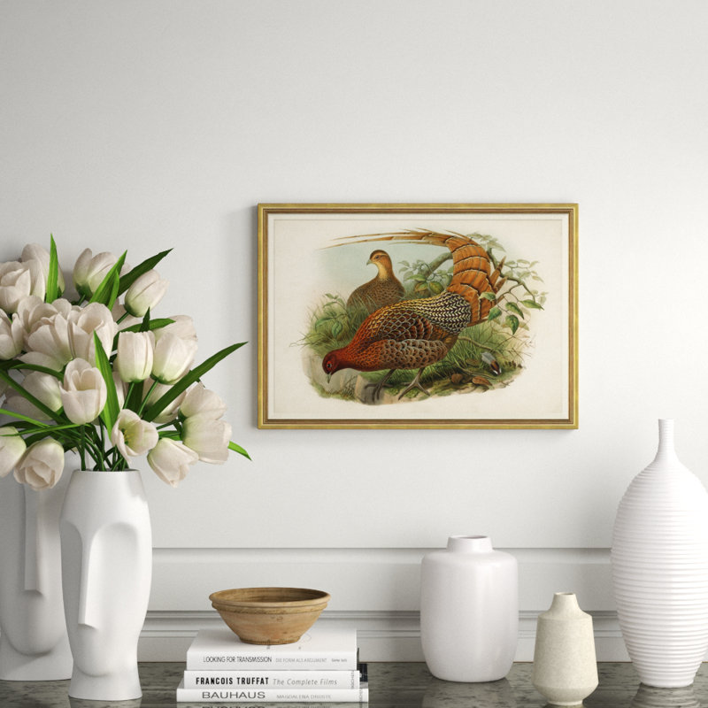 Pheasants From Gould's Birds Of Australia 6 Giclee Print by John Gould
