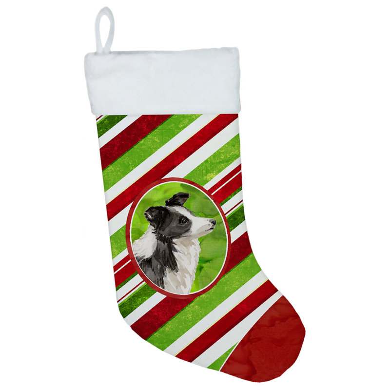 Chaussette de noël à rayures à sucre, Border collie
