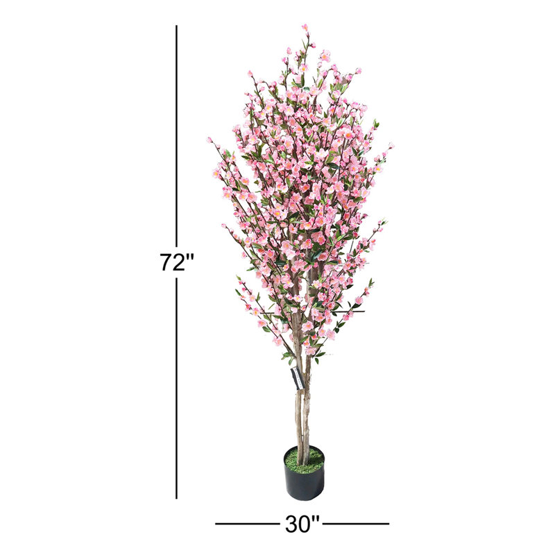 Cerisier en pot 6 pi, Rose