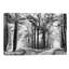 Turning Left Wasn't Right by Lars Van De Goor - Wrapped Canvas Print-42153446