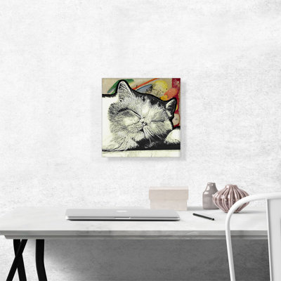 Exotic Shorthair Cat Breed Sleeping - Reproduction d'art sur toile tendue