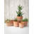 Horton Ceramic Pot Planter-1565106921