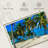 Gillard Belize Cayes-107499129