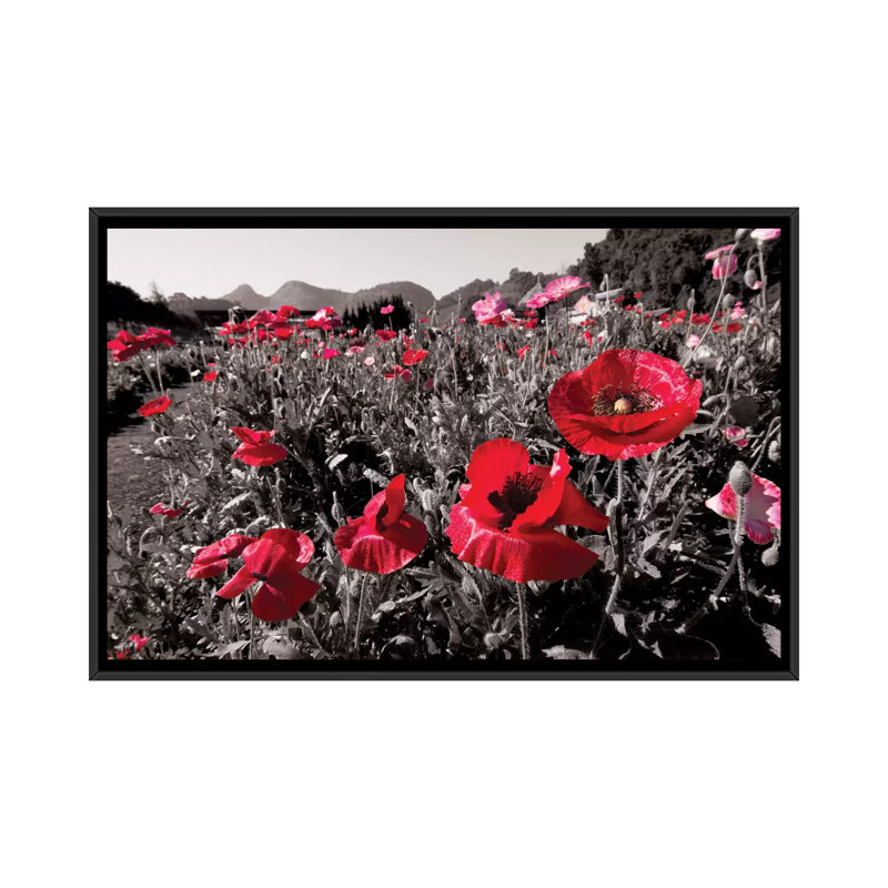 " Red Poetry " by 5by5collective, 18" H x 26" W x 1.5" D, Black Framed Canvas, No Matte