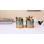 Pot Planter