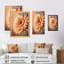 " Orange Gerbera Flower I "-1444698752-1444698753