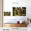 Senne The Lily Pond-108887987