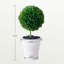 Mini ensemble de topiaires artificiels de 2 ou 3 boules, arbres décoratifs, plantes artificielles d'intérieur et d'extérieur-474687716-474687717