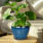 Ceramic Modern Glaze Succulent Planter Pot-375652743