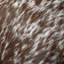 Coussin décoratif en peau de vache authentique Thomas Collection® - brun rougeâtre et blanc