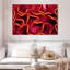 Corail rouge Brampt-108731394