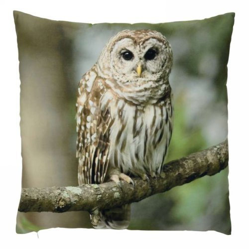 Coussin hibou Aleman