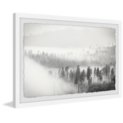 Foggy Scenery - Single Picture Frame Print