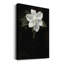 Impression florale rétro Cxxi sur toile-288789187