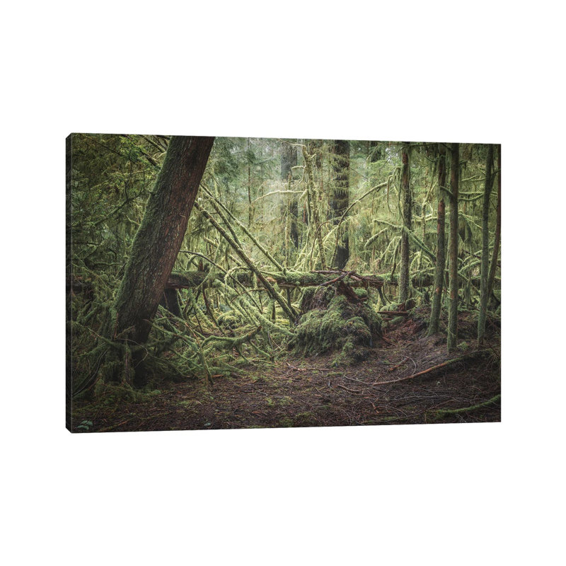 The Fallen by Louis Ruth - Wrapped Canvas Painting, 20.32 cm H x 30.48 cm W