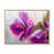 Cadre naturel flottant