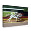 «Race Horses» par Beverly Doyle, reproduction sur toile-31877050