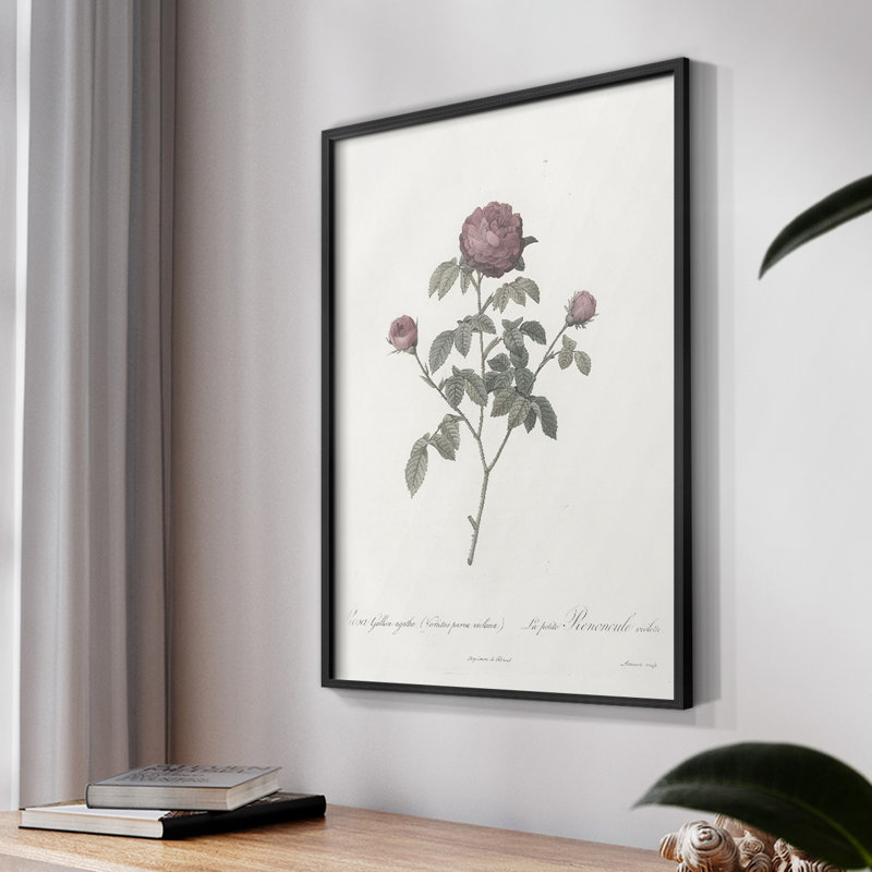 Imprimé floral rétro CXLVI, Cadre noir, H 10 po x l 8 po