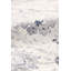 Tapis oriental ivoire / gris Amadeus-51020822