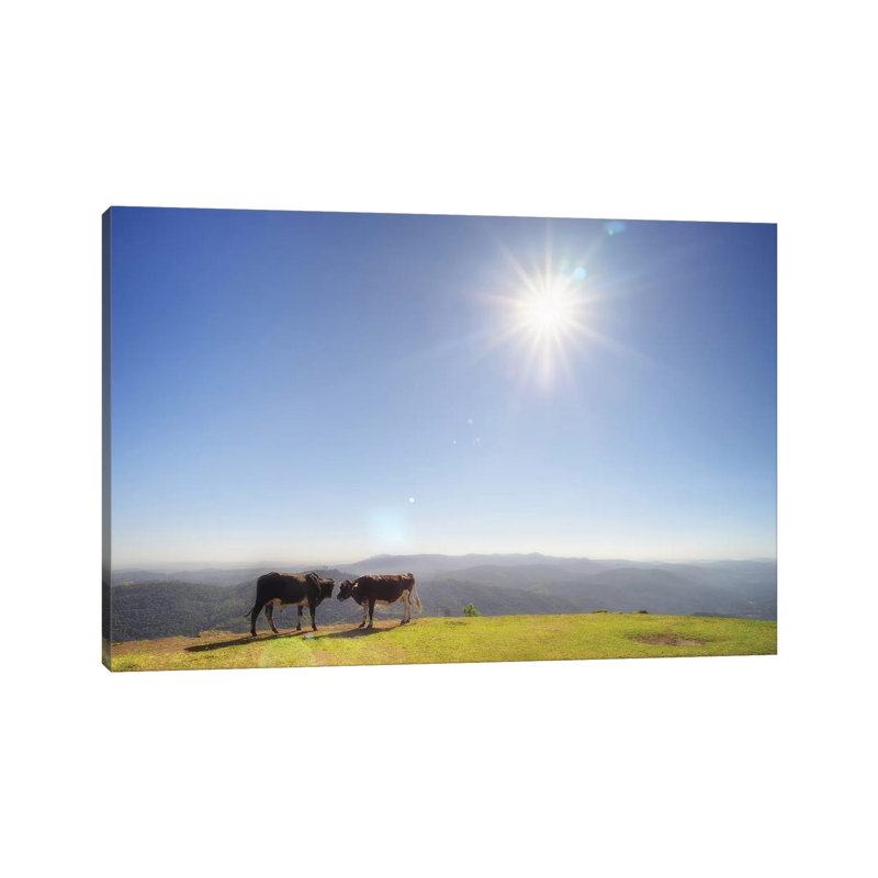 Cow I by Glauco Meneghelli - Wrapped Canvas Print, 45.72cm H x 66.04cm W x 1.9cm D