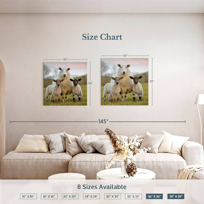 Brampt Markethill Sheep, 36" H x 36" W