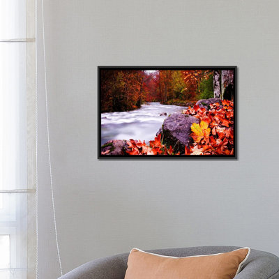 " Autumn Flow " Print