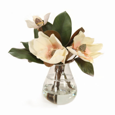 Magnolia''s In Teardrop Glass Vase