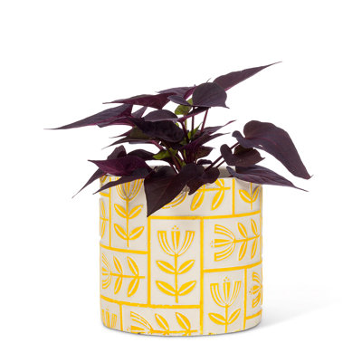 Cache-pot en béton
