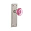 New York Plate with Waldorf Pink Door Knob-1342481590