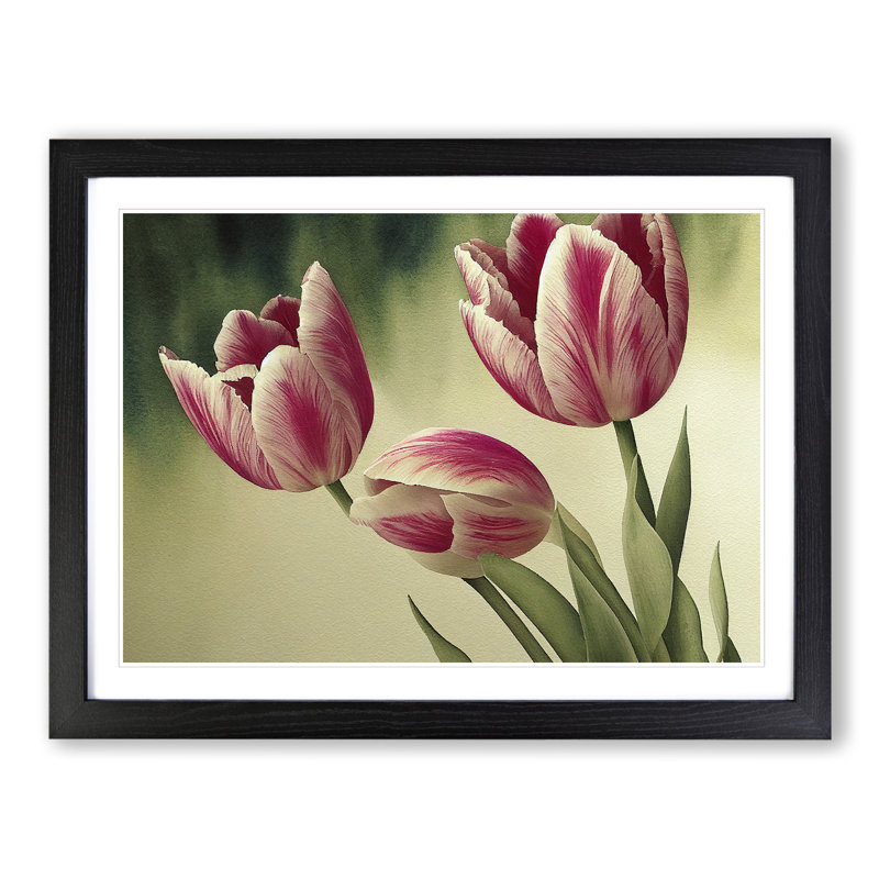 Spectacular Tulip Flowers - Framed Print, Black Frame, 46cm H x 64cm W