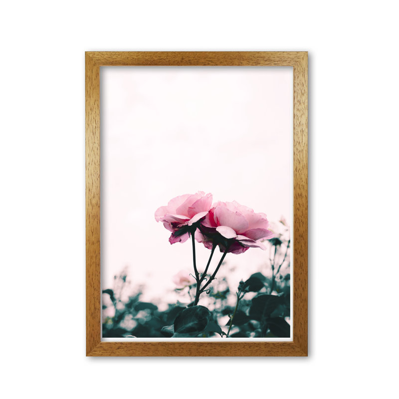 Rose - Print, Honey Oak Frame, 42 cm H x 30 cm W x 5 cm D
