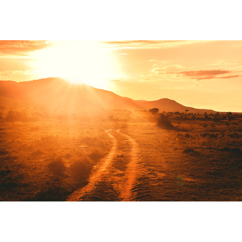 Landscape On The Masai Mara by Zeljkosantrac - Wrapped Canvas Print, 61cm H x 91cm W x 3.8cm D