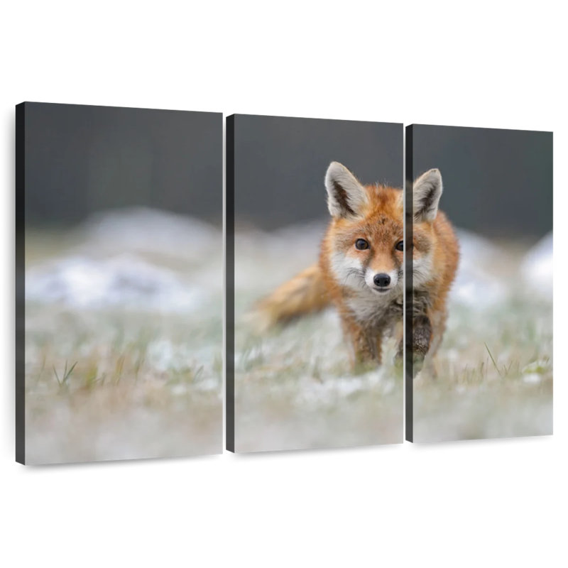 Baby Red Fox, 48" H x 74" W