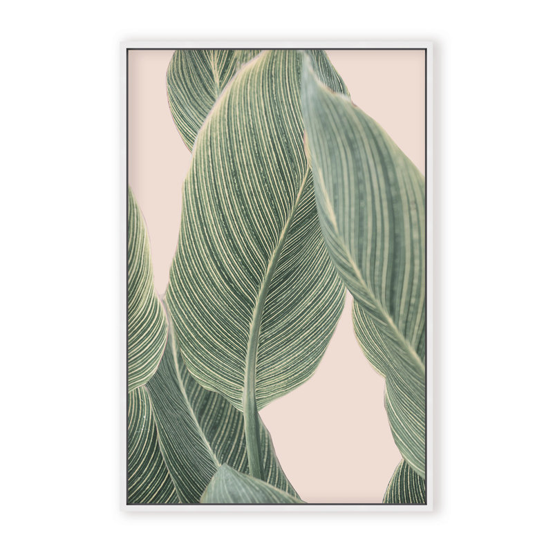 Coastal Retreat Calla Leaf by  - Picture Frame Graphic Art on Paper, 24" H x 16" W x 1.125" D, Framed Matted Print, Beige