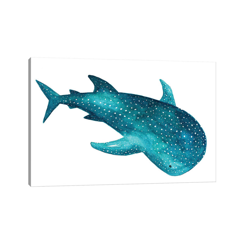 «Whale Shark I» par The Cosmic Whale, reproduction d'art sur toile tendue, H 12 po x l 18 po x 1,5 po
