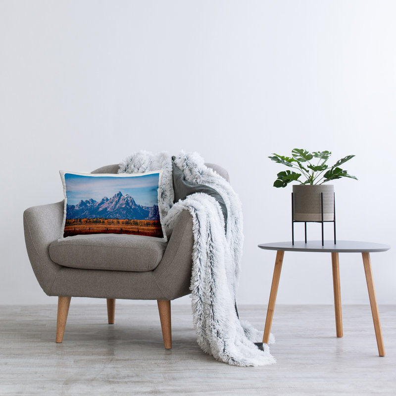 Throw Pillow