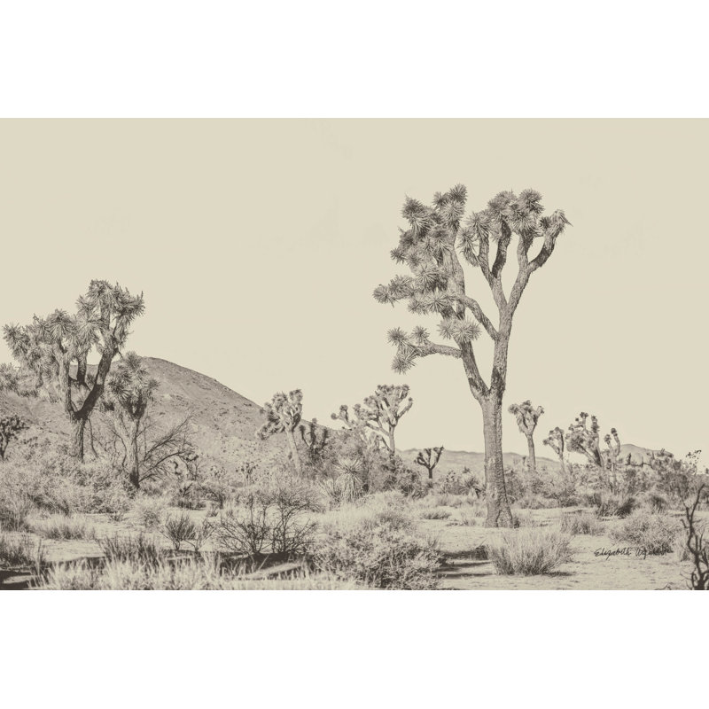 Joshua Tree II neutre, H 20 po x l 30 po